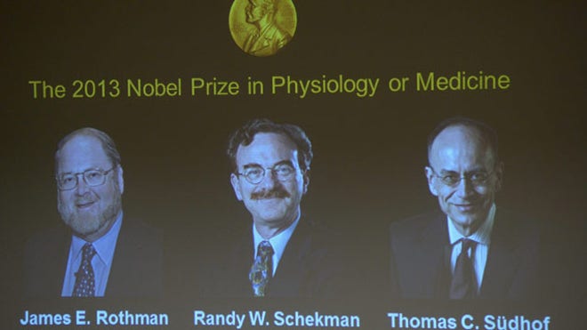Nobel Medicine  _Cham.jpg